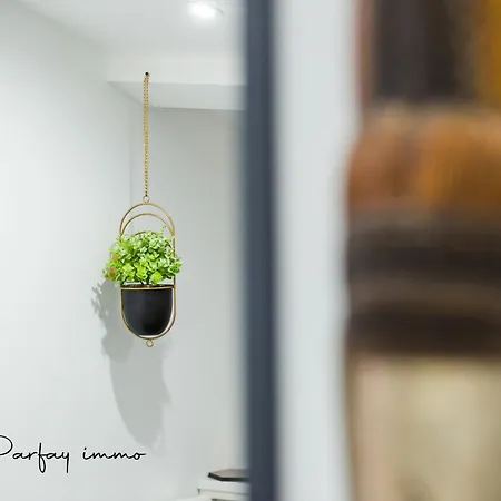 Agreable Et Moderne 2 Pieces ~ Confort Et Design Apartamento